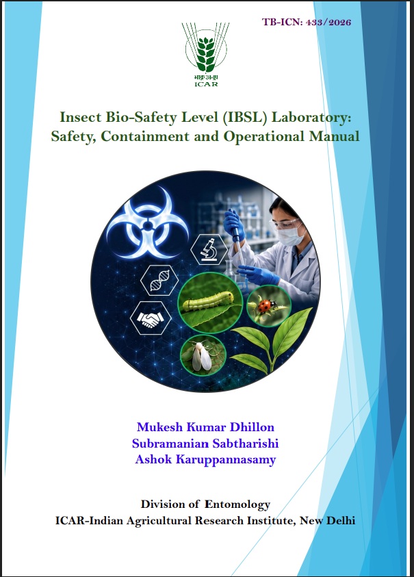 Publication 5