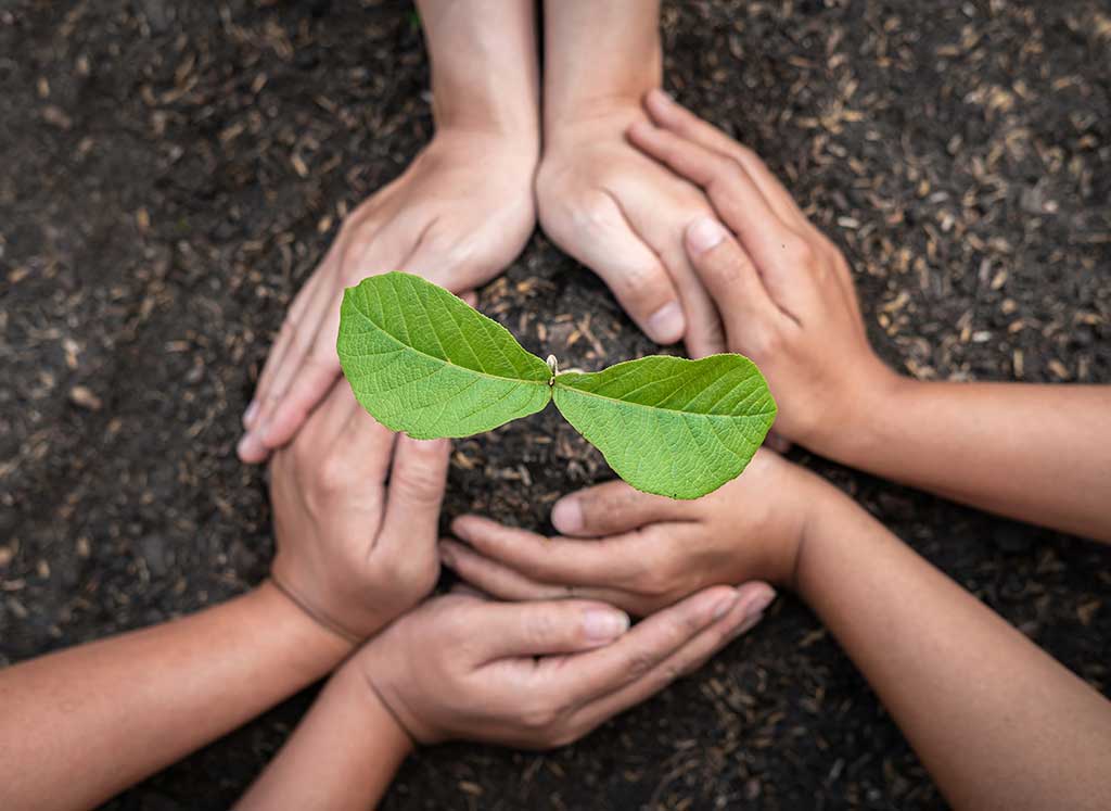Plant Protection