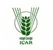 ICAR