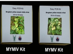 MYMIV & MYMV Kit packaging