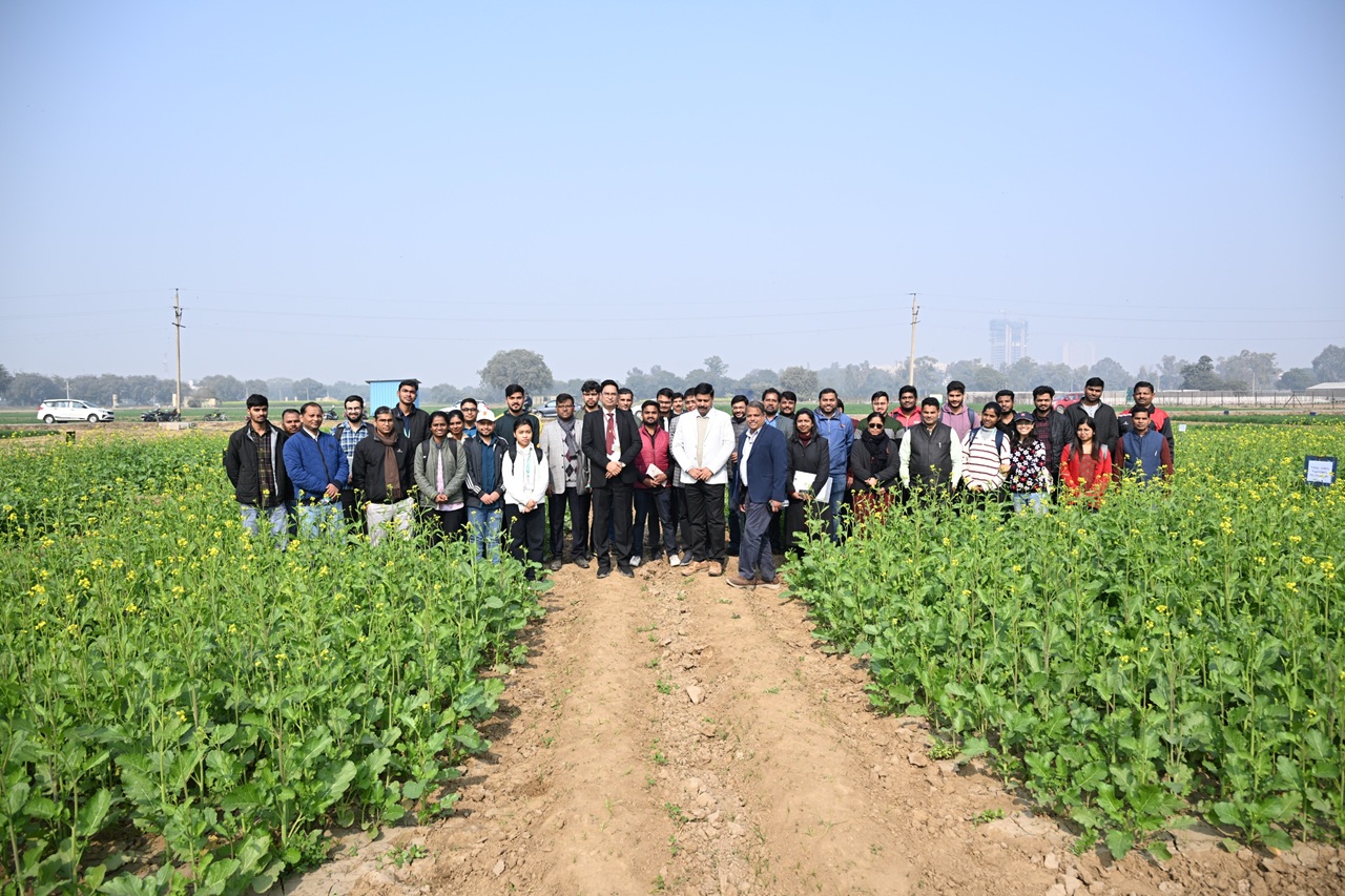 Long Term Experiment of IARI soil science division
