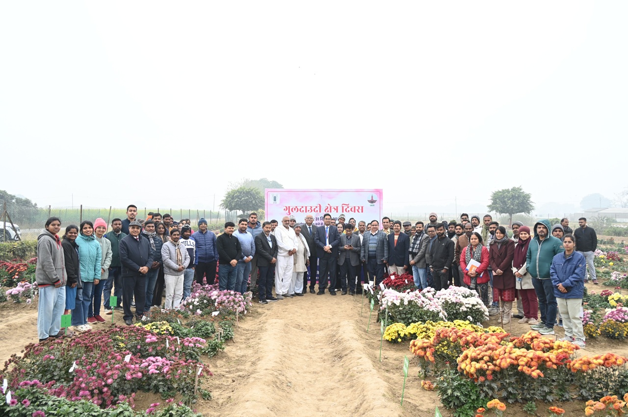IARI Celebrated Chrysanthemum Field Day on 31st December 2025