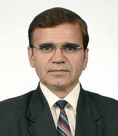 Dr. S. S. Sindhu